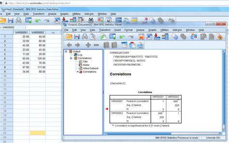 SPSS 2025 Free Online Version

