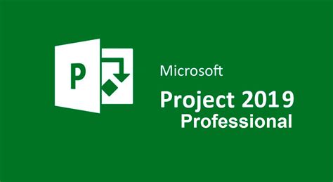 Microsoft Project Professional 2025 Portable Download
