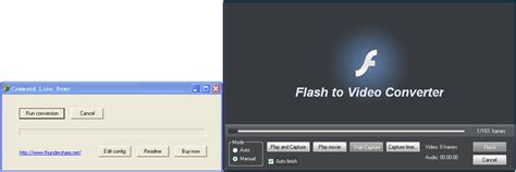 ThunderSoft Flash to Video