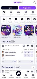 Автоматтармен ойын – көңіл көтеру әлемі Автоматтармен ойын – көңіл көтеру әлемі