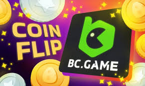 Explore the Thrills of BC Game Casino