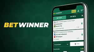 Placing Bets Safely and Securely on BetWinner Cameroon
